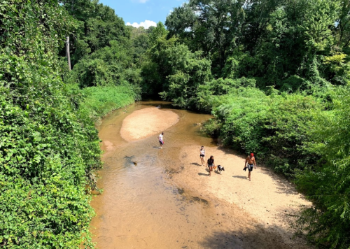 A sandy riverbank surrounded by lush greenery, with people walking and a dog playing in the shallow water.
