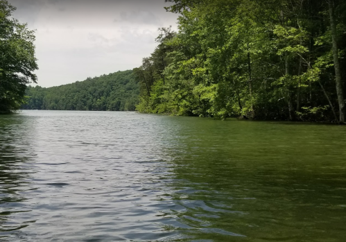 A serene lake surrounded by lush green trees under a cloudy sky.