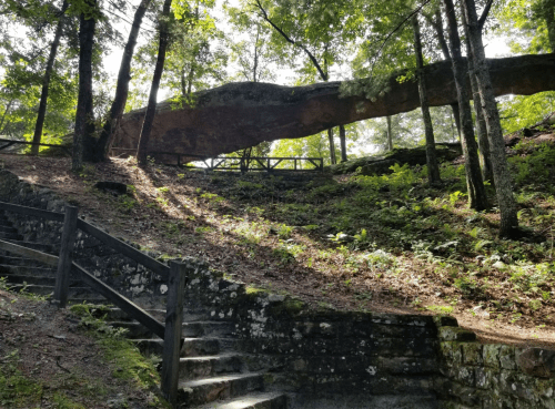 A stone archway above a forested area, with steps leading up to it and sunlight filtering through the trees.