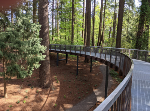 A winding walkway through a lush forest, surrounded by tall trees and greenery.