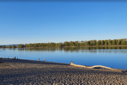 A serene river scene with a sandy beach, calm water, and lush green trees lining the opposite shore under a clear blue sky.