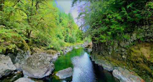 A serene river flows through a lush green forest, surrounded by rocks and trees under a clear blue sky.