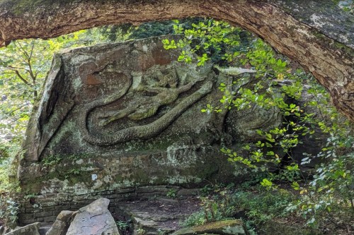 A carved stone relief of a dragon and a figure, surrounded by greenery and tree branches.