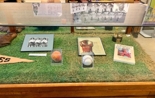 Display case featuring sports memorabilia, including photos, a baseball, a basketball, a book, and trophies on grass-like surface.