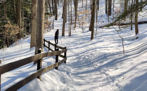 A person walks along a snowy path in a forest, surrounded by trees and a wooden fence.