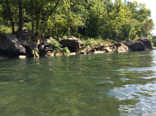 A serene river scene with clear water, rocky banks, and lush green trees lining the shore.