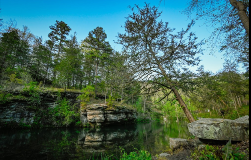A serene landscape featuring a calm lake surrounded by lush trees and rocky cliffs under a clear blue sky.