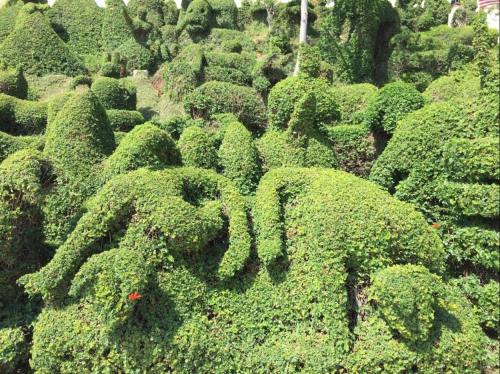 Lush green topiary shaped like animals, creating a whimsical garden scene.