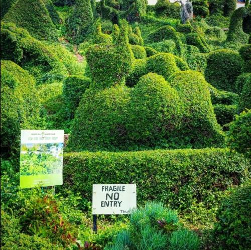 Lush green topiary shaped like animals, with a sign reading "FRAGILE NO ENTRY" in a vibrant garden setting.