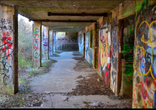 Abandoned corridor with graffiti-covered walls and overgrown vegetation, leading to a gated area in the background.