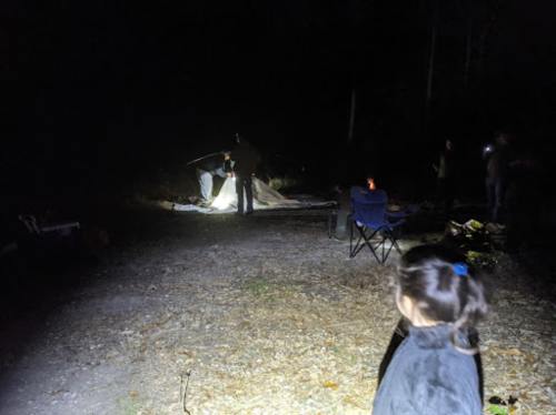 A child watches as adults set up a tent in a dark, wooded area, illuminated by flashlights and a small fire.