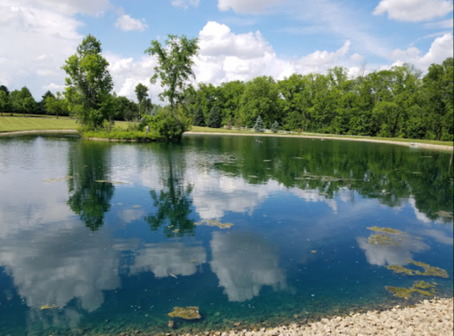 A serene pond reflecting clouds and trees, surrounded by lush greenery and a rocky shoreline.