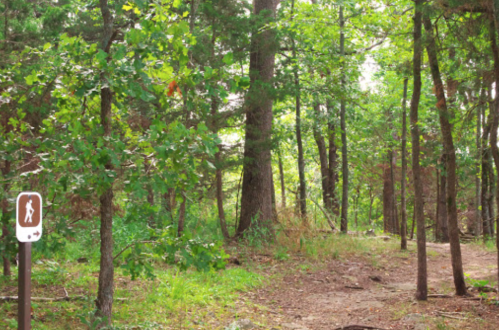 A wooded trail with a hiker sign, surrounded by lush green trees and underbrush.