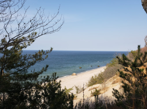 A serene beach view with gentle waves, framed by trees under a clear blue sky.