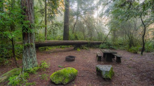 A serene forest campsite with a fallen tree, picnic table, and fire pit surrounded by lush greenery and mist.