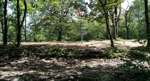 A wooded area with trees and a disc golf basket in the background, surrounded by rocky ground and greenery.