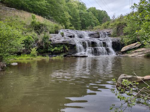 A serene waterfall cascades over rocks into a calm pool, surrounded by lush greenery and trees.