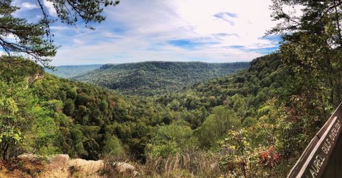 A panoramic view of lush green hills and valleys under a partly cloudy sky, with trees in the foreground.