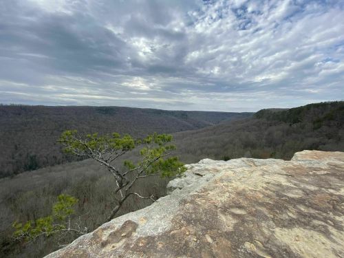 A rocky cliff overlooks a vast, wooded valley under a cloudy sky.