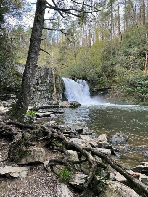 A serene waterfall cascades into a calm river, surrounded by lush greenery and rocky terrain.