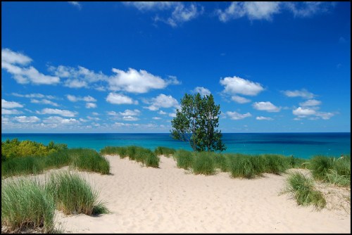 A sandy dune with tall grass overlooks a vibrant blue lake under a bright, partly cloudy sky.