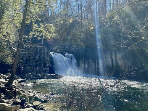 A serene waterfall cascades into a clear pool, surrounded by trees and sunlight filtering through the forest.