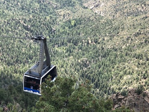 A gondola glides over a lush green forested mountain landscape.