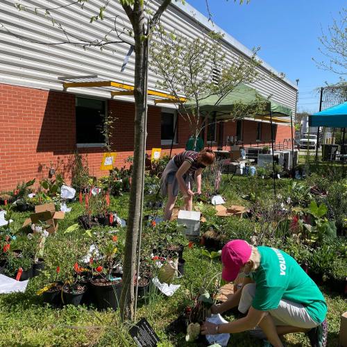 Two volunteers work in a garden, planting flowers and organizing plants around a building on a sunny day.