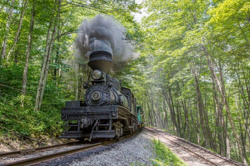 A vintage steam train chugs along a forested track, billowing smoke amidst lush green trees.