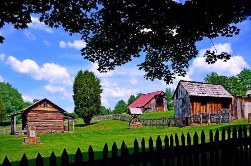 A scenic view of rustic wooden barns and a log cabin surrounded by green grass and trees under a blue sky.