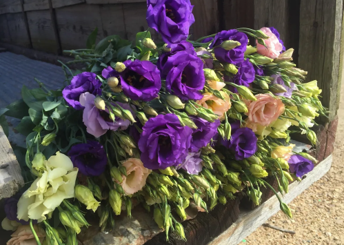 A vibrant bouquet of purple and pale pink flowers arranged on a rustic wooden surface.