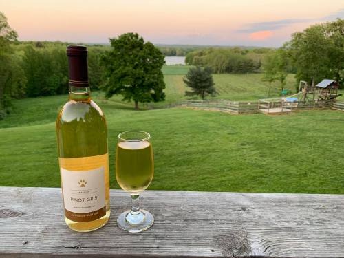A bottle of Pinot Gris and a glass sit on a wooden railing, overlooking a lush green landscape at sunset.