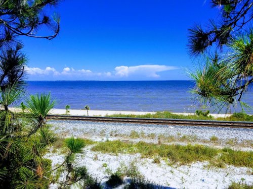 A serene view of a beach and ocean, framed by pine trees, with a railway track in the foreground under a clear blue sky.