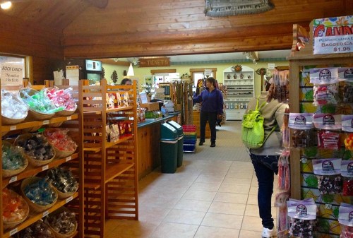 Interior of a gift shop with wooden decor, shelves of candy, and customers browsing.