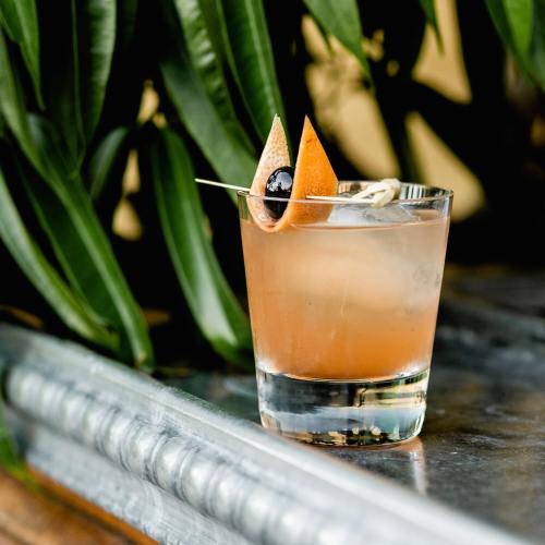 A refreshing cocktail in a glass, garnished with orange and a cherry, set against a backdrop of green leaves.