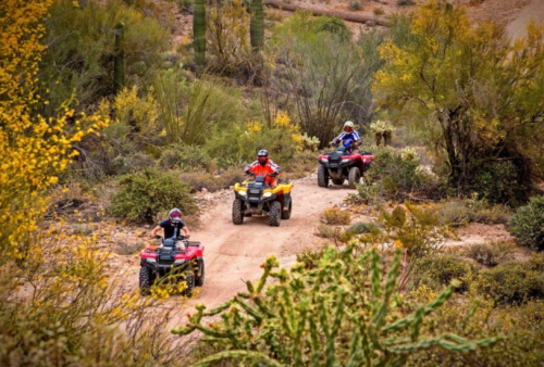 Three riders on ATVs navigate a dirt trail surrounded by desert vegetation and cacti.
