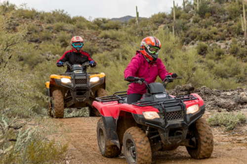 Two riders on ATVs navigate a dirt trail in a desert landscape, surrounded by cacti and rocky terrain.