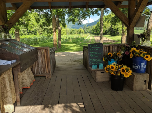 A rustic farm stand with sunflowers, a chalkboard sign, and a view of fields and mountains in the background.