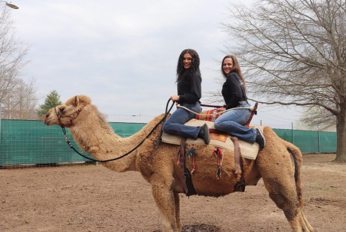 Two women sit on a camel, smiling, in a fenced outdoor area with trees and a cloudy sky in the background.