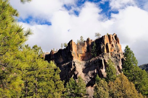 A rocky cliff rises above a forest of pine trees under a partly cloudy sky.