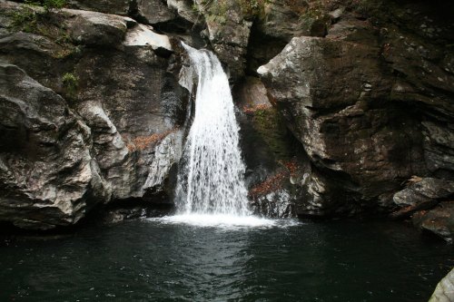A serene waterfall cascading over rocks into a calm pool surrounded by lush greenery.