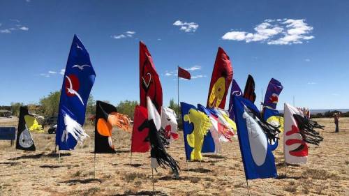 A field with colorful flags of various designs waving under a clear blue sky.
