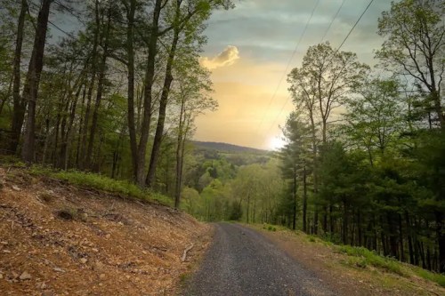 A gravel road winds through a lush forest, leading to a sunset over distant hills.