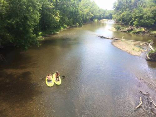 Two people on yellow kayaks paddle in a calm river surrounded by lush green trees and a clear blue sky.