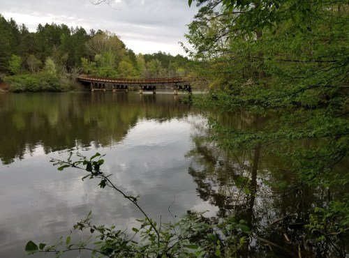 A serene lake scene with a wooden bridge in the background, surrounded by lush green trees and calm water reflections.