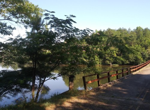 A serene lakeside scene with trees and a wooden railing along a path, reflecting calm water and blue sky.