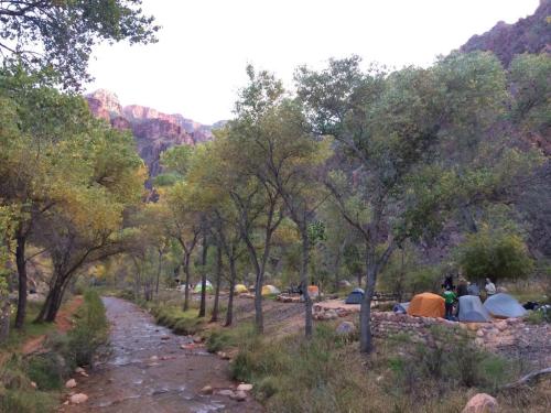 A serene campsite by a stream, surrounded by trees and mountains, with tents set up in a peaceful natural setting.