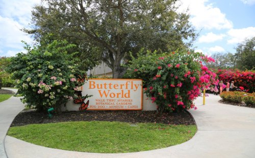 Sign for Butterfly World surrounded by colorful flowers and greenery, with a pathway leading into the attraction.