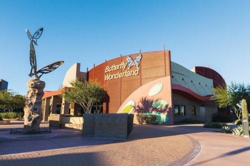 Exterior of Butterfly Wonderland featuring a butterfly sculpture and colorful building design in a desert landscape.