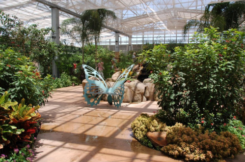 A vibrant greenhouse filled with lush plants and a blue butterfly sculpture near a small waterfall.